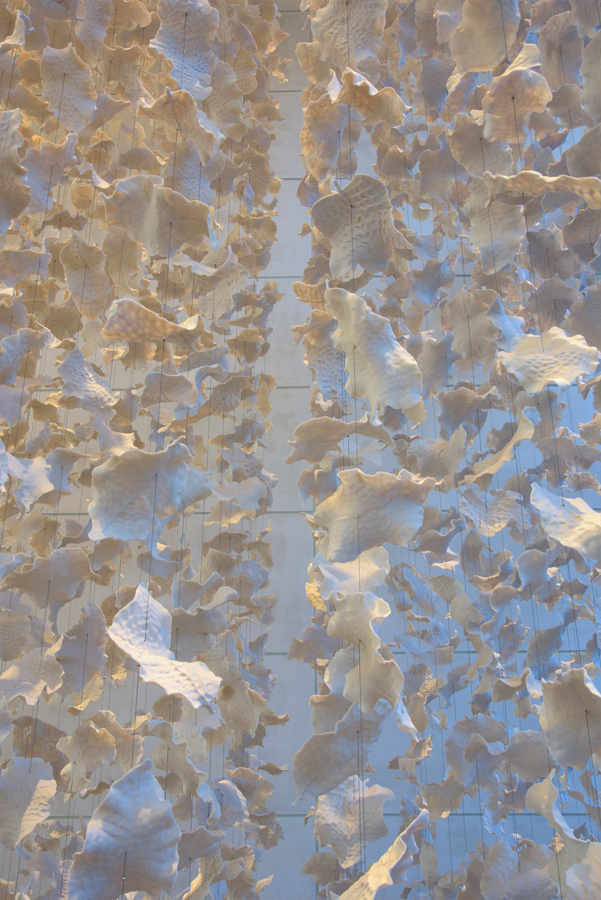 falling installation-06