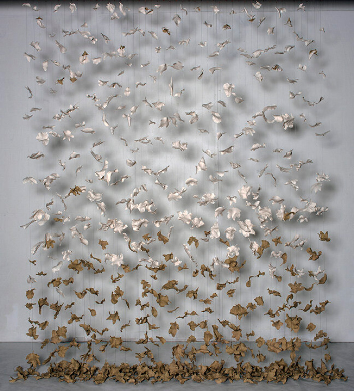 Life-Cycle222-wide-2